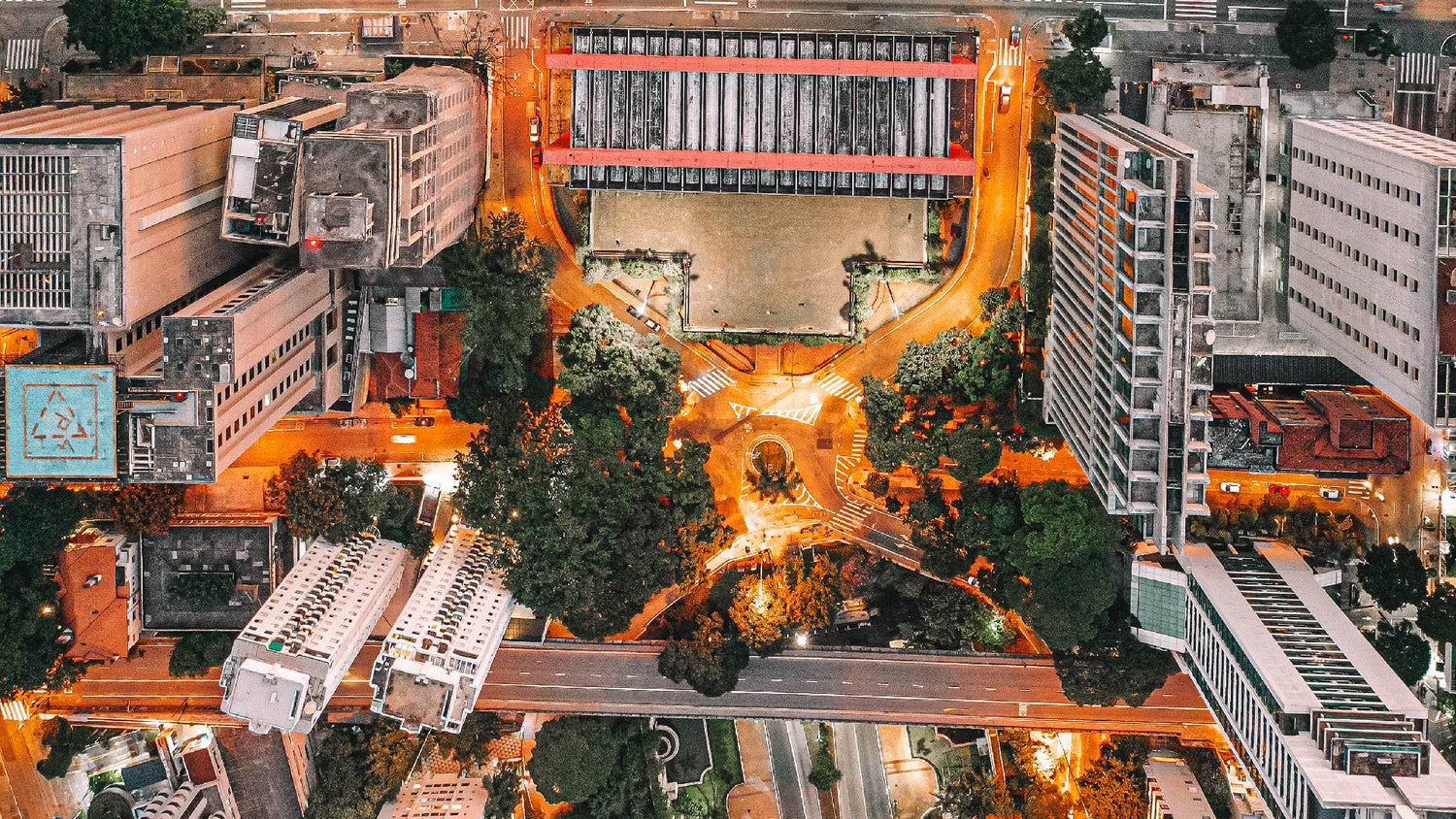 The Entrepreneurial Ecosystem: How Local Roots Strengthen Your Business's Branches - Greenleaf Workspace