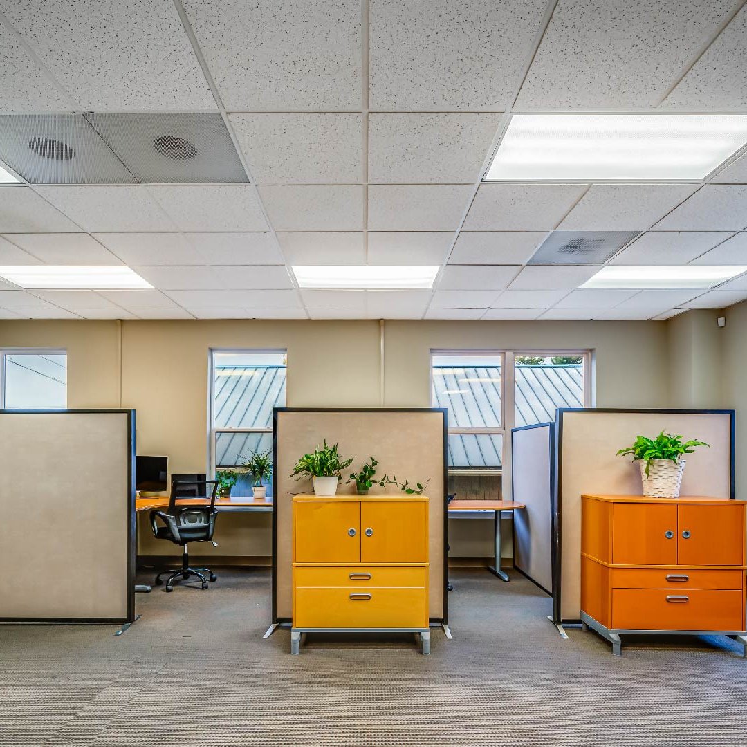 Seedling Membership - Greenleaf Workspace - Seedling Membership