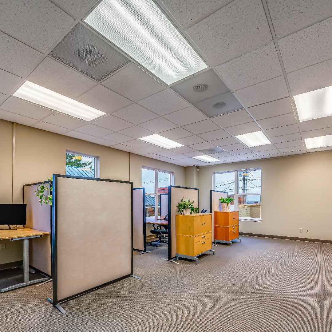Evergreen Membership - Greenleaf Workspace - Evergreen Membership