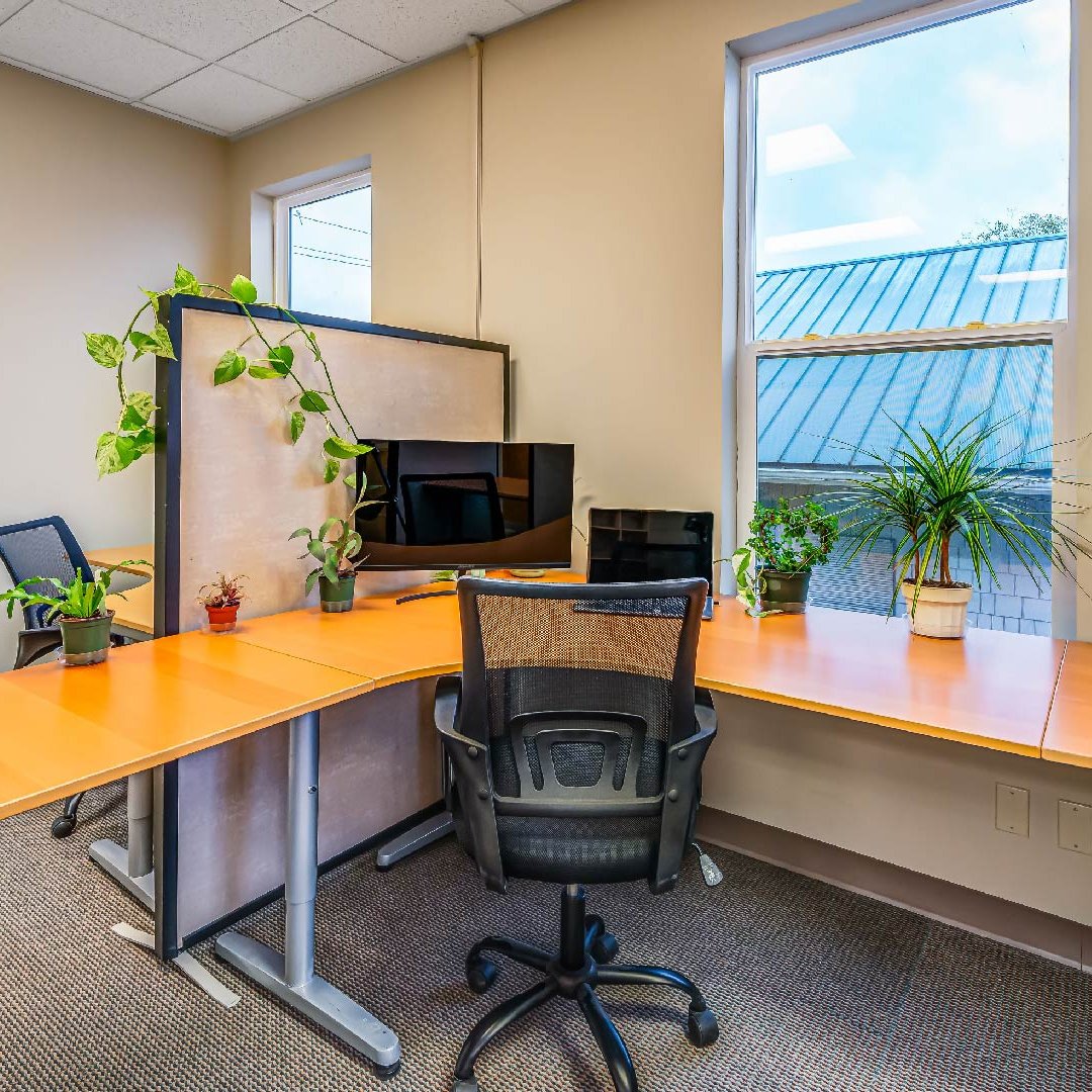 Evergreen Membership - Greenleaf Workspace - Evergreen Membership