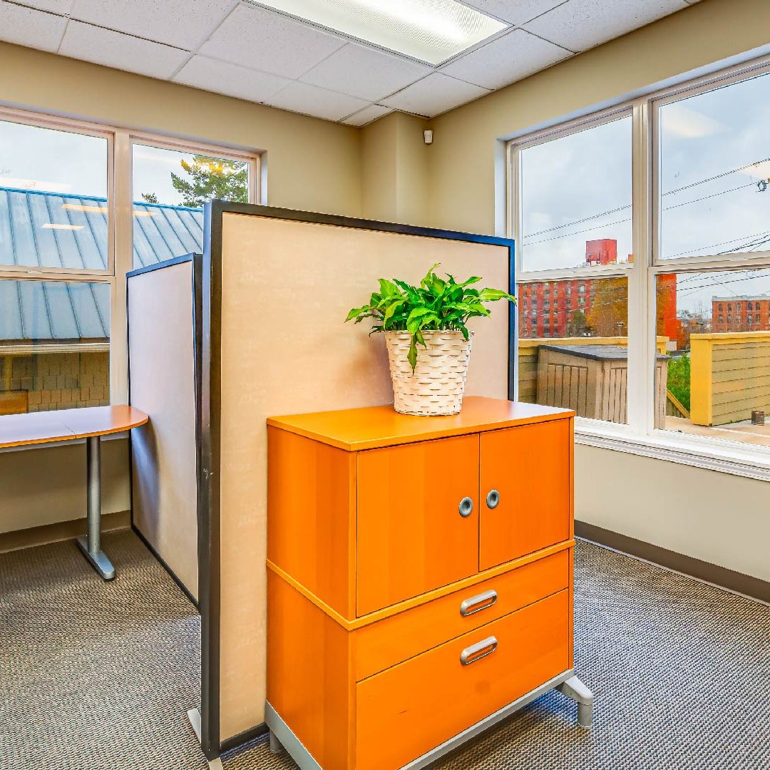 Evergreen Membership - Greenleaf Workspace - Evergreen Membership